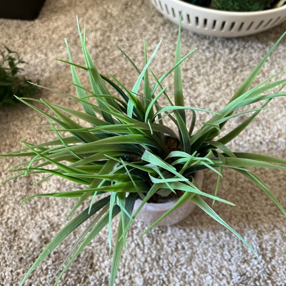 Faux Potted Plant - Picture 3 of 4